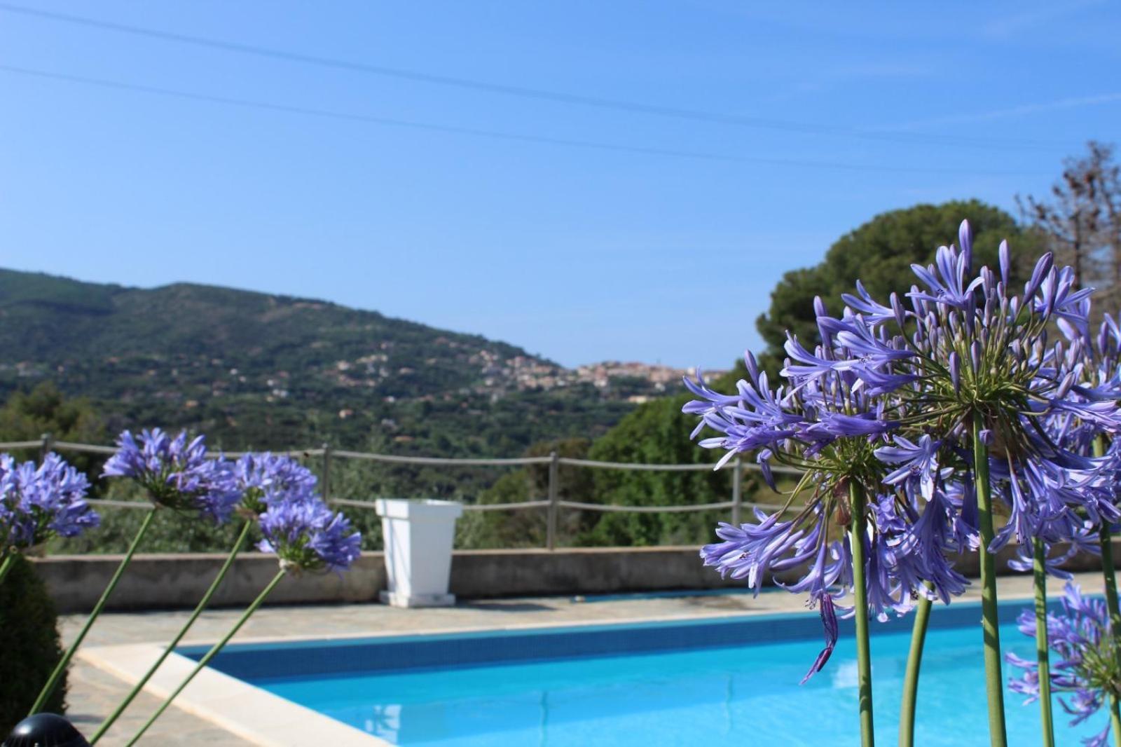 Residence Les Oliviers Porto Azzurro Exterior foto